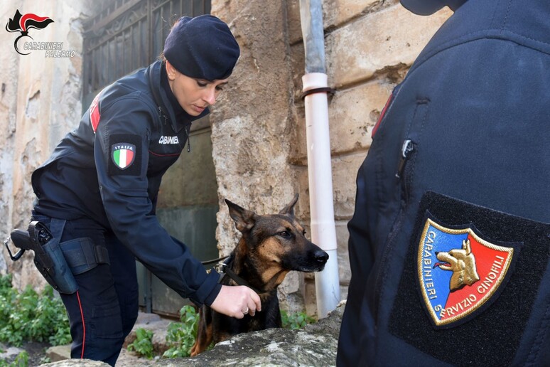 carabinieri-cinofili.jpg