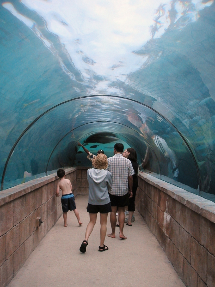 Underwater_Tunnel.jpg