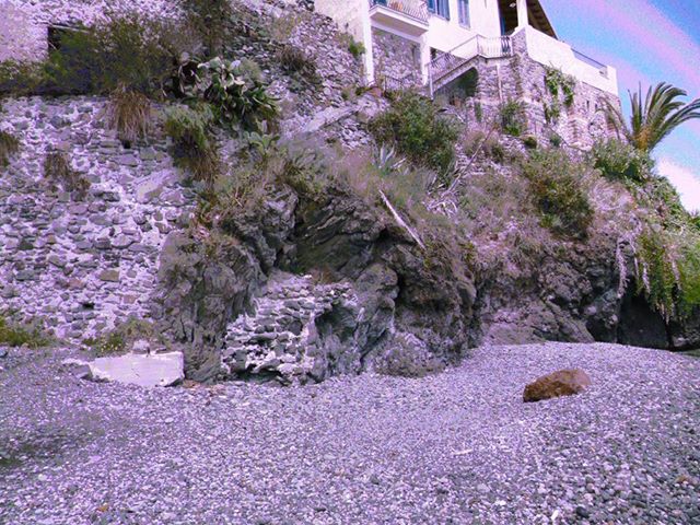 calandra2