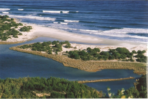 spiaggia di bidderosa - golfo di orosei (3).jpg